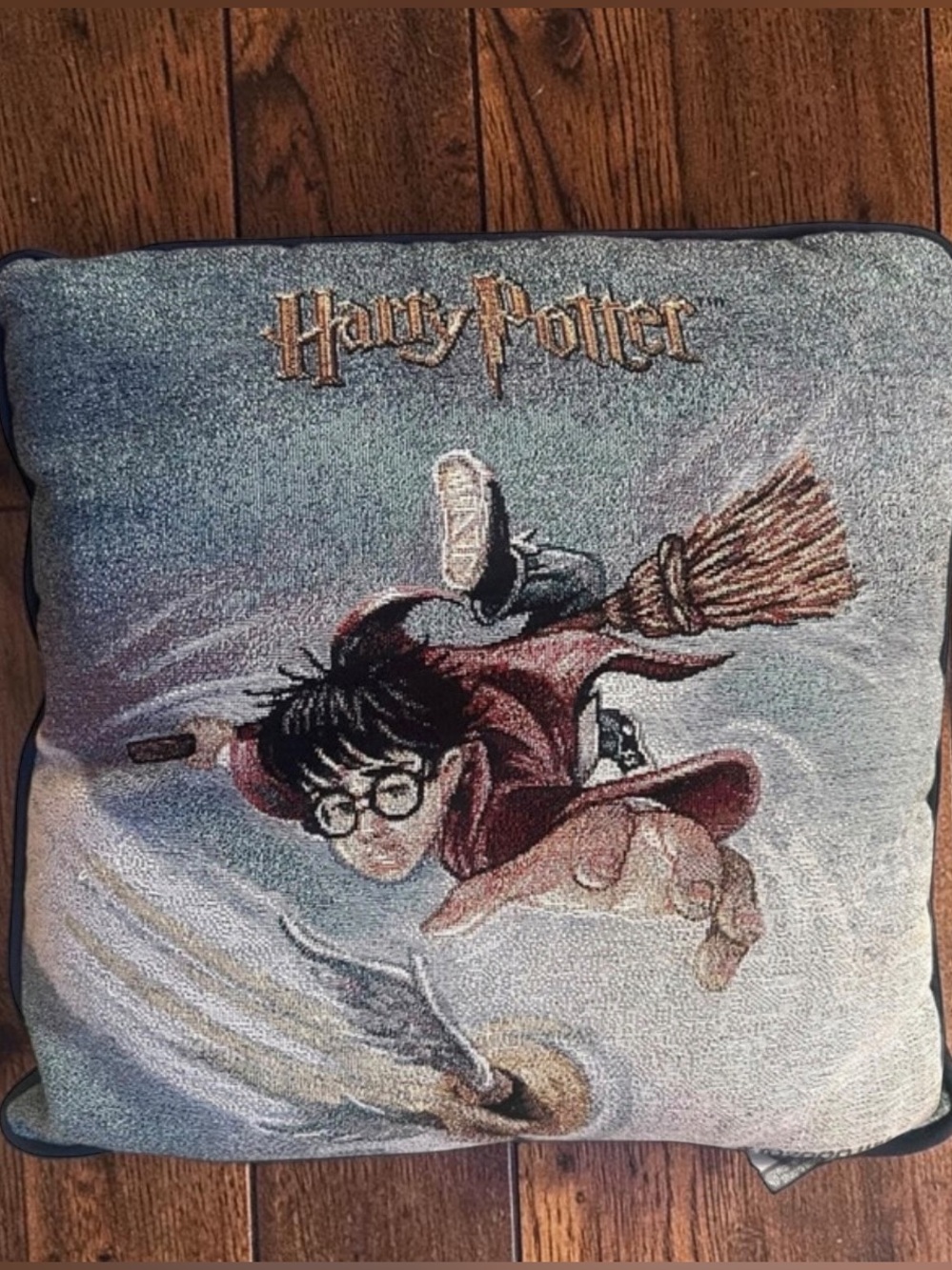 Vintage 2001 Harry Potter Quidditch Tapestry Pillow Warner Bros Studio Store